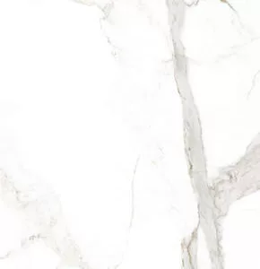 Calacatta Oro Venato